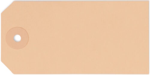 Kartonanhänger 200 g/m², chamois braun, 50 x 100 mm, ohne Druck - 5mm Pappöse