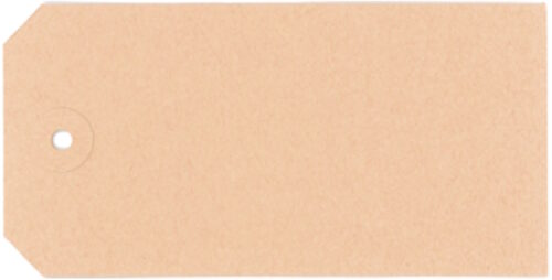 Kartonanhänger 220 g/m², chamois braun, 65 x 130 mm, ohne Druck - 5mm Pappöse